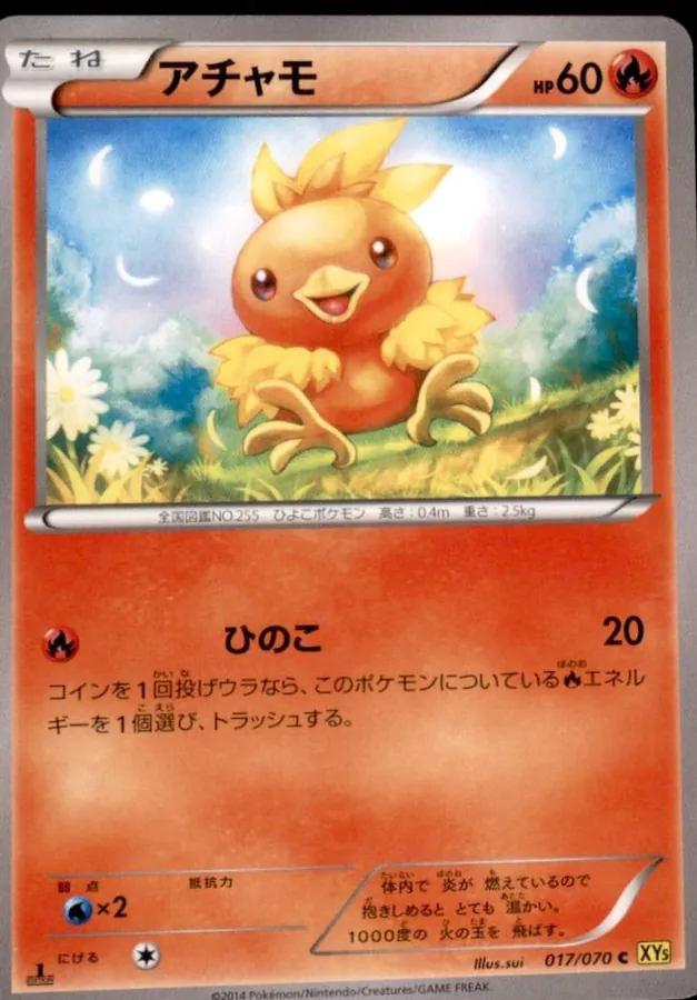 Torchic [1st-Edition]